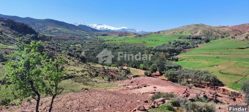 Terrain titré sur la route goudronnée à Vendre