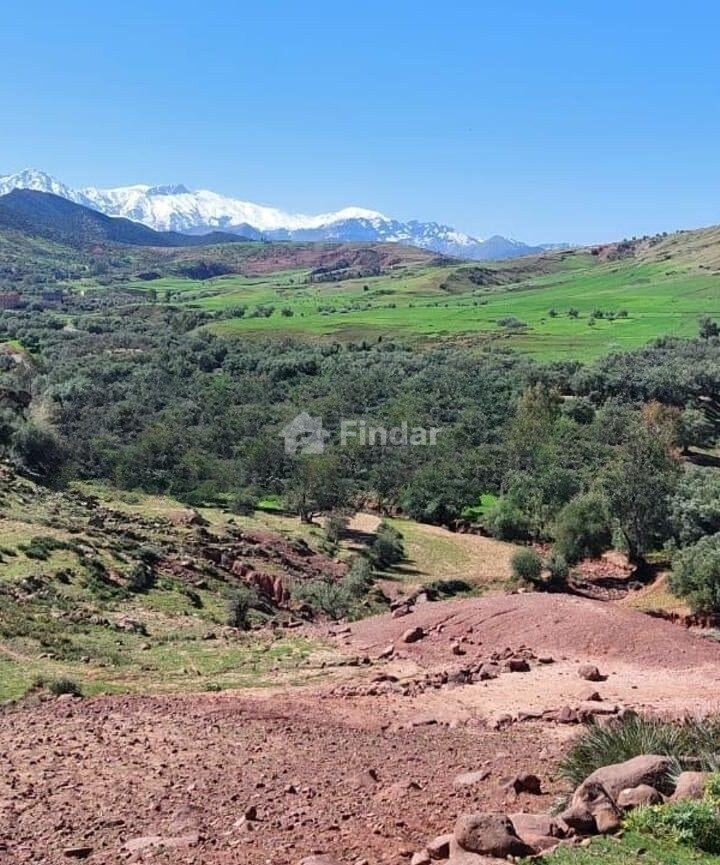 Terrain titré sur la route goudronnée à Vendre